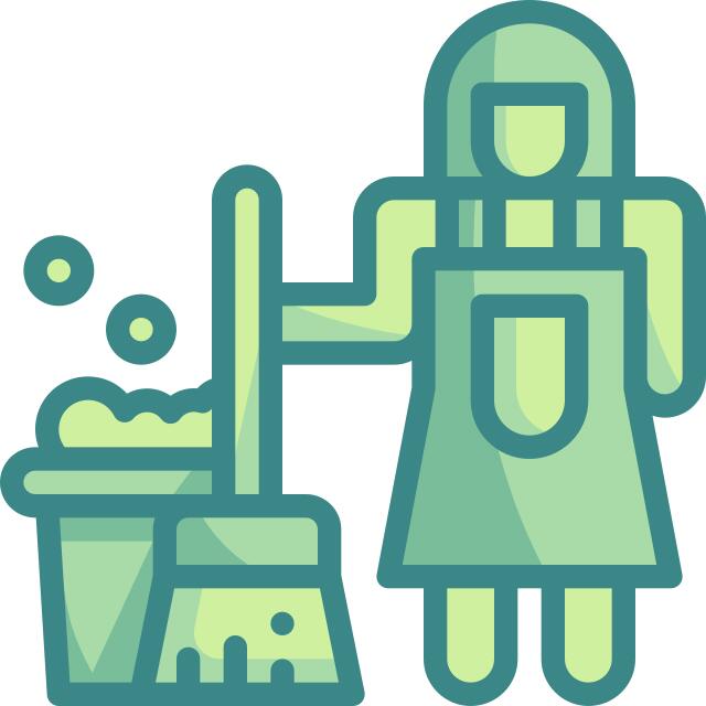 Cleaner