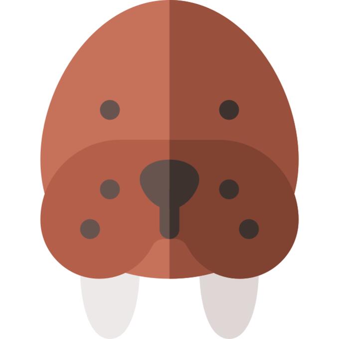 Walrus