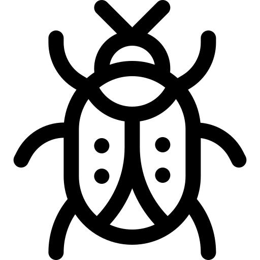 Ladybug
