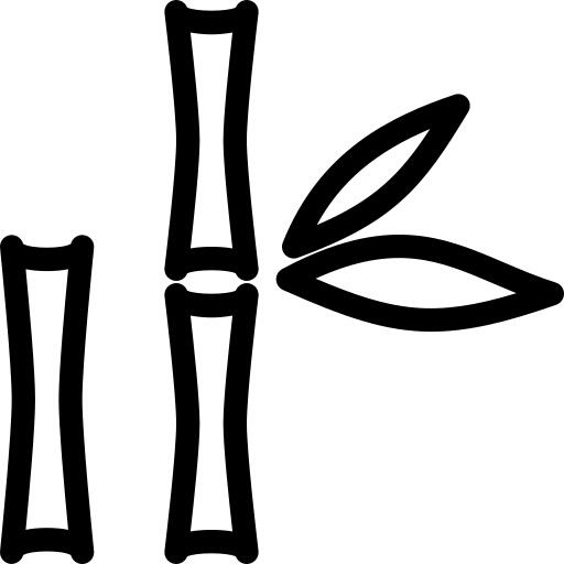 Bamboo