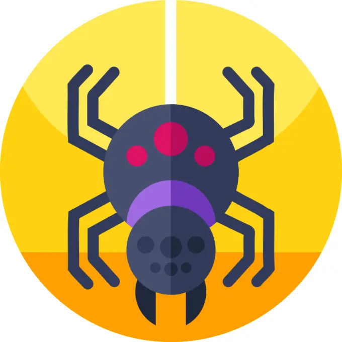 Spider