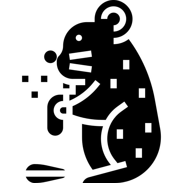 Hamster