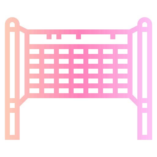 Volley net