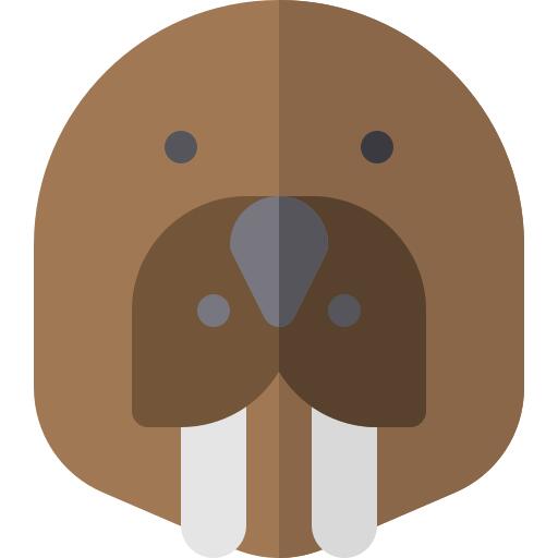 Walrus