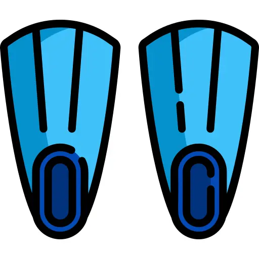 Fins