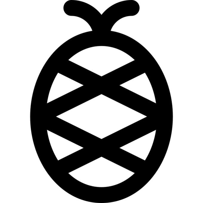 菠萝