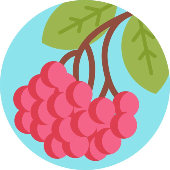 Rowan
