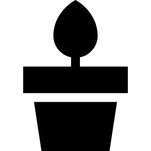 Plants
