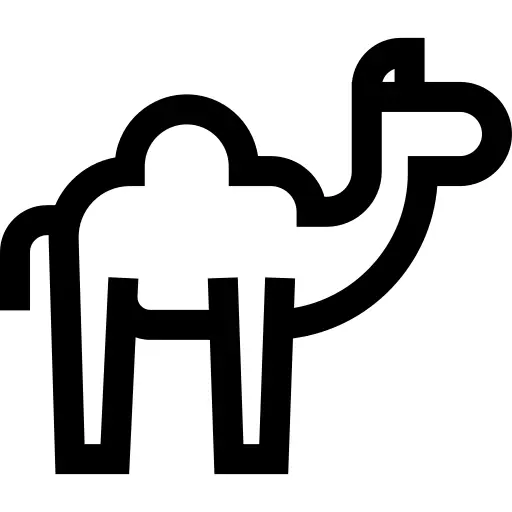 Camel