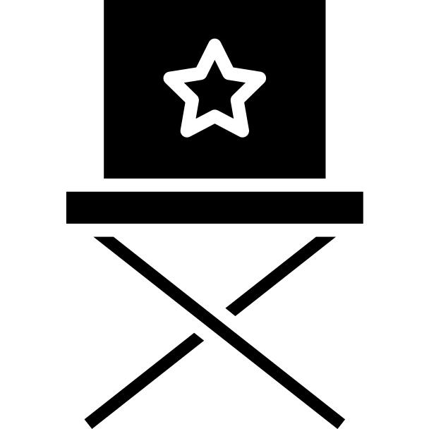 Director chair