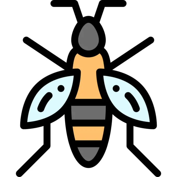 Wasp