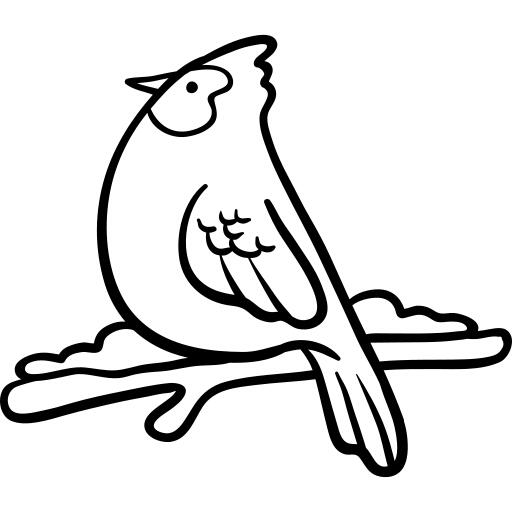 Robin