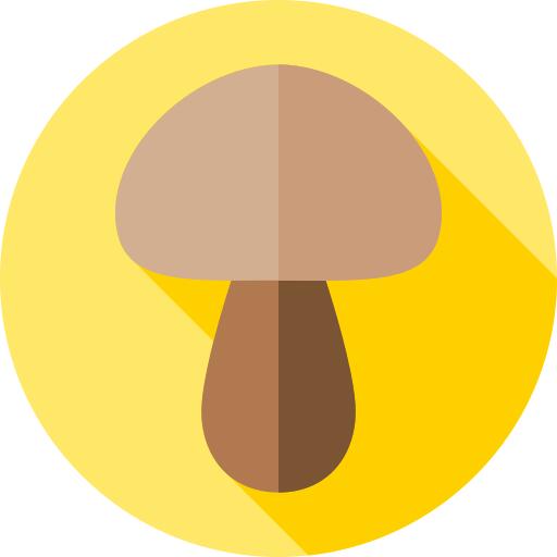 蘑菇