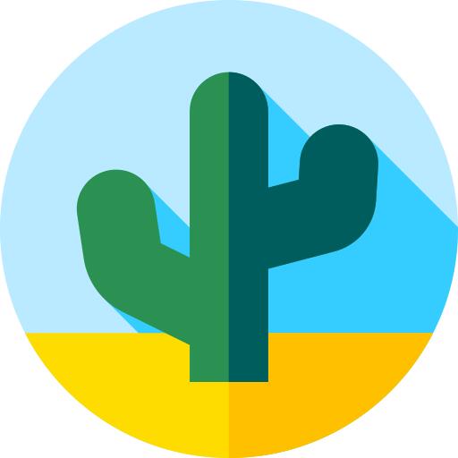 仙人掌