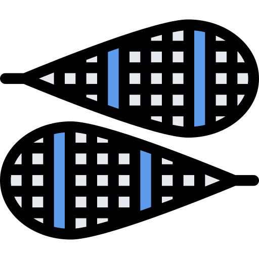 Snowshoes