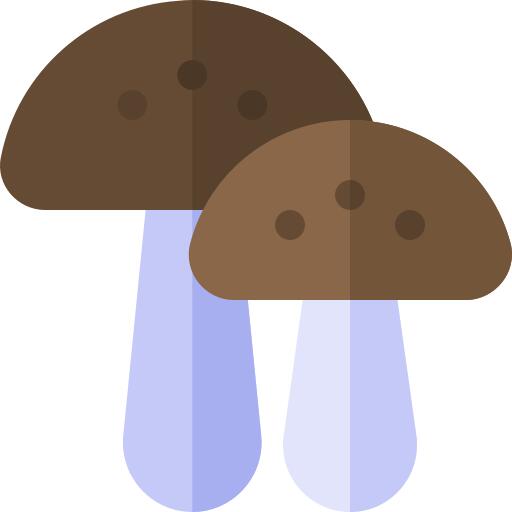 蘑菇
