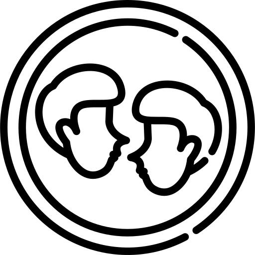 双子座