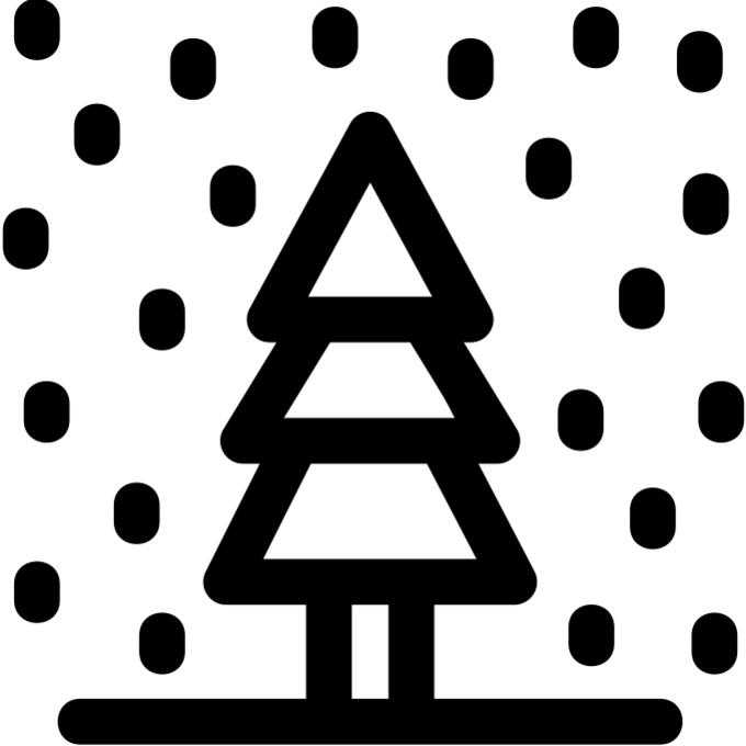 Pine tree