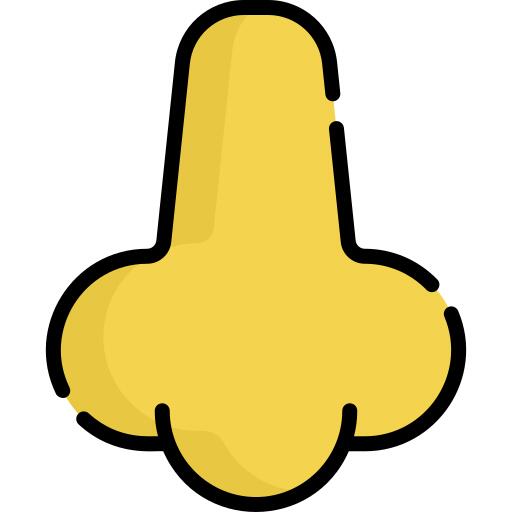 Nose