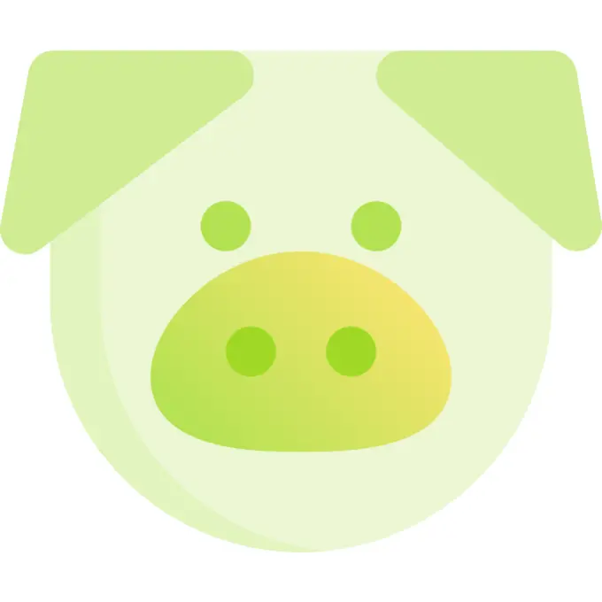 猪