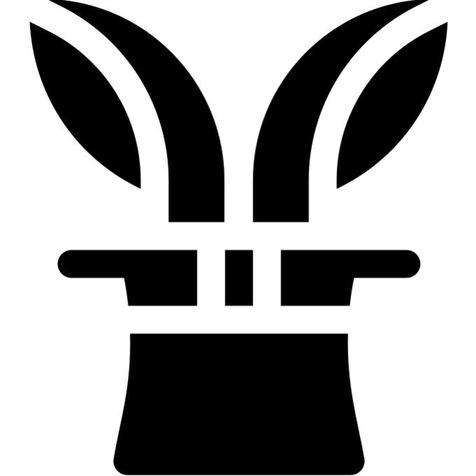 Bunny hat