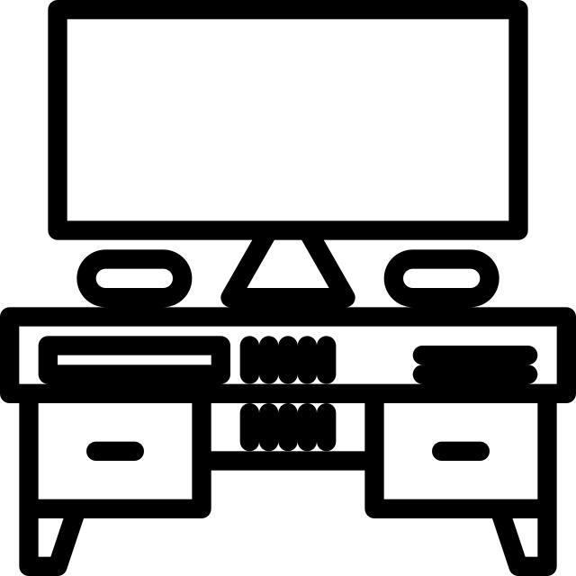 Television