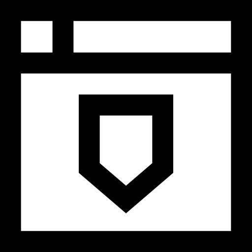 Web security