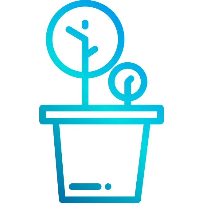 Plant