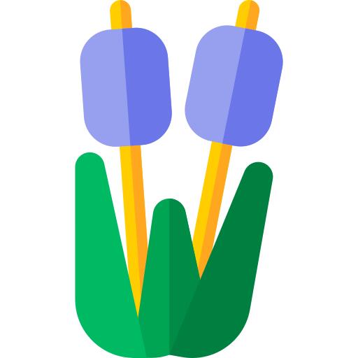 芦苇床