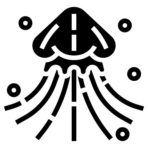 Jellyfish