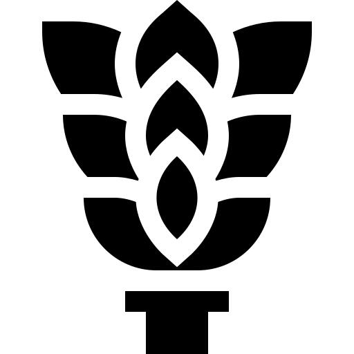 桦木拂尘
