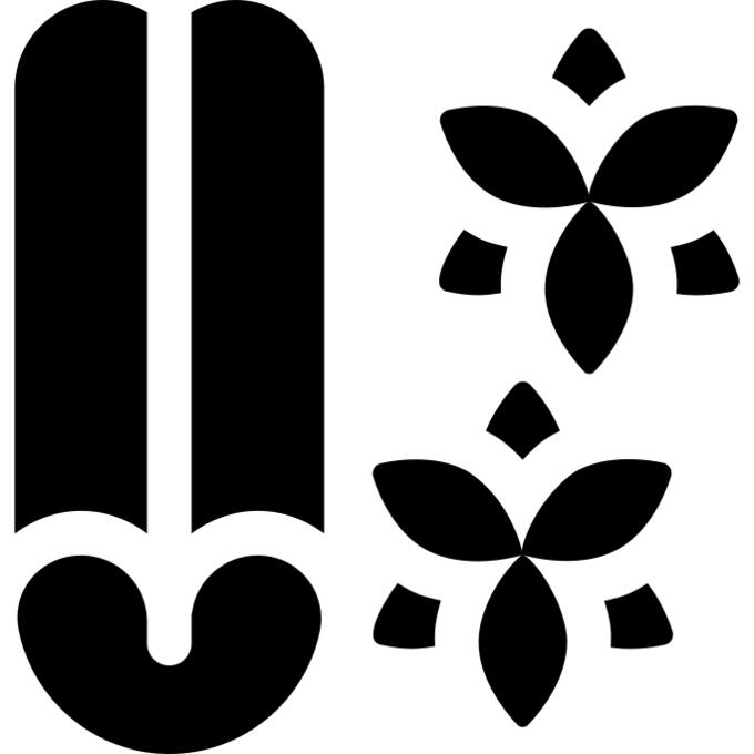 Anise