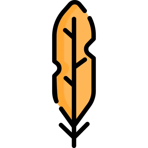 Feather