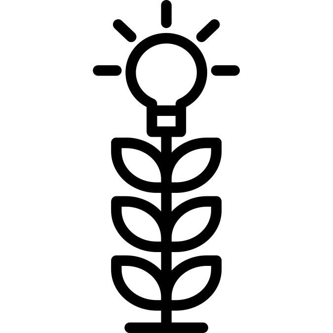 Growth