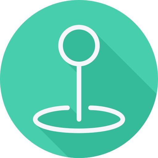 Pin