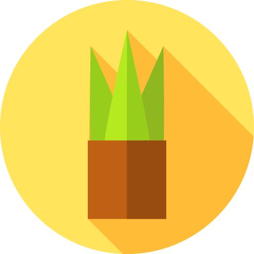 锅
