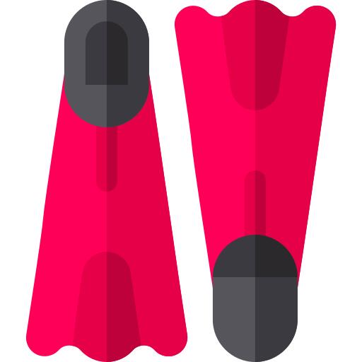 Flippers