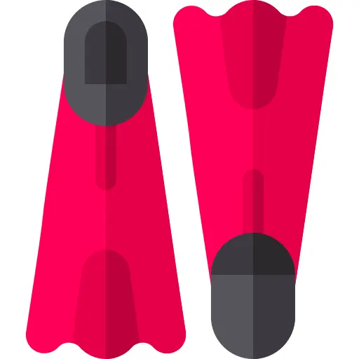 Flippers
