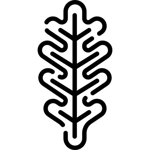 橡树叶