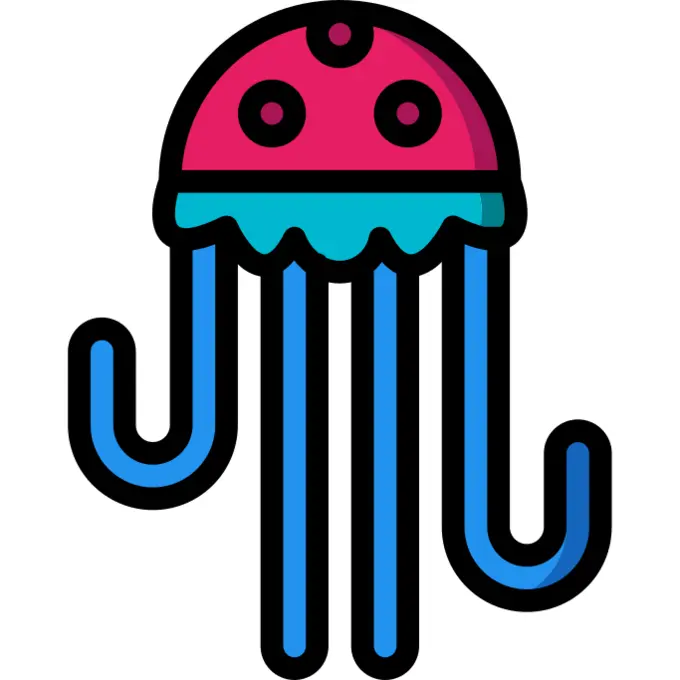 Jellyfish