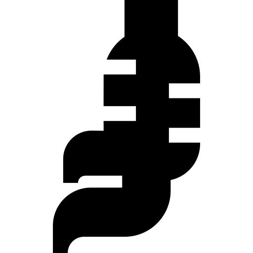 参