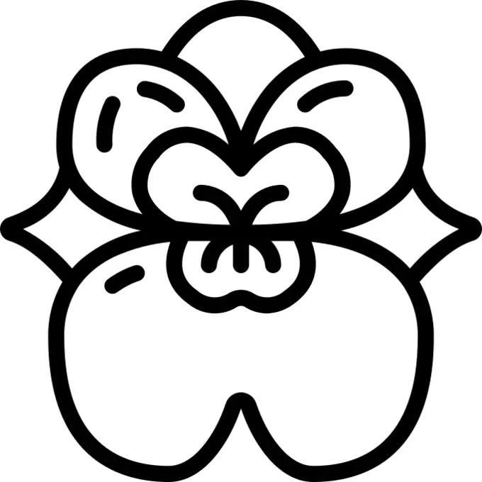 兰科