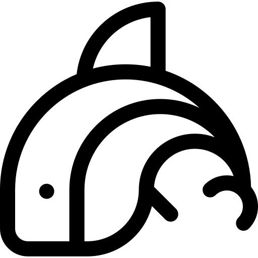 Orca