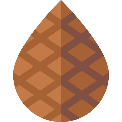 棕榈