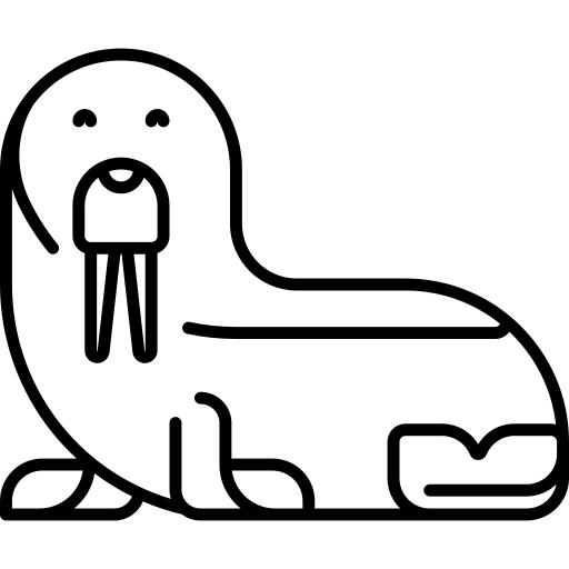 Walrus