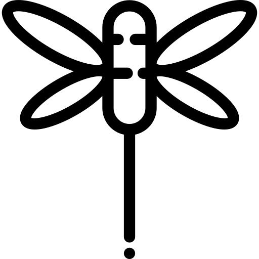 蜻蜓