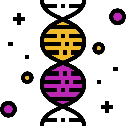 Dna