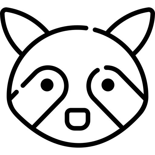 Raccoon