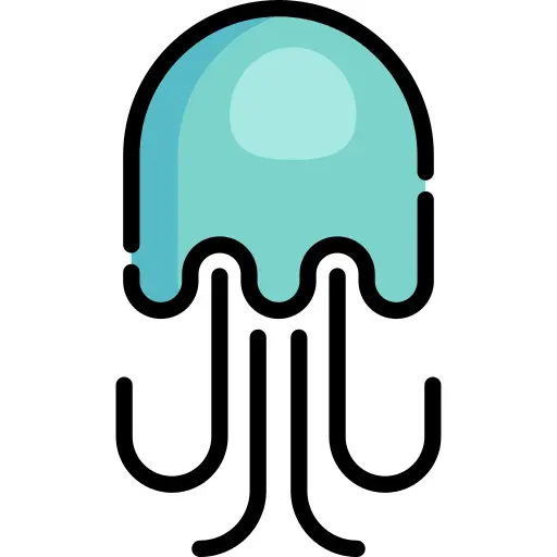 Jellyfish
