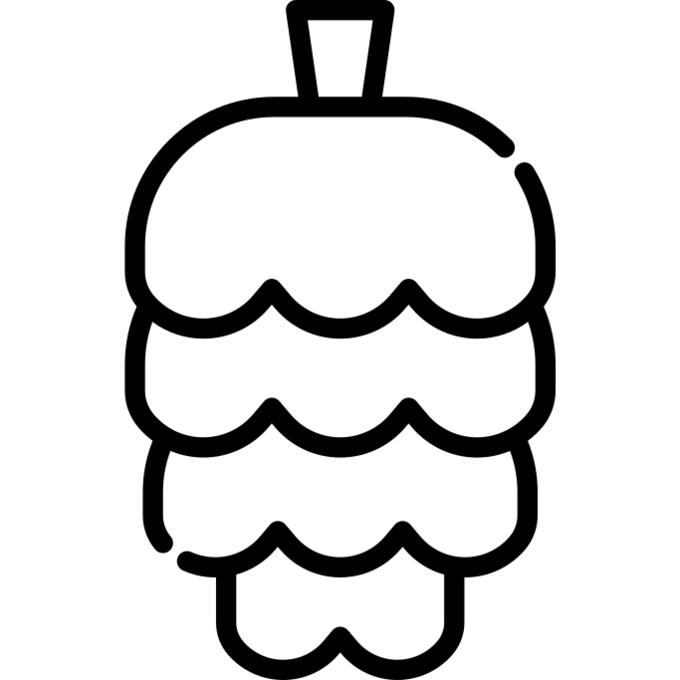 Pine cone